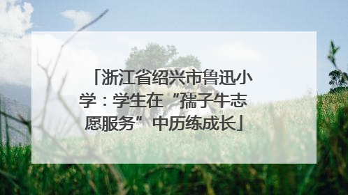 浙江省绍兴市鲁迅小学：学生在“孺子牛志愿服务”中历练成长