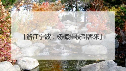 浙江宁波：杨梅挂枝引客来