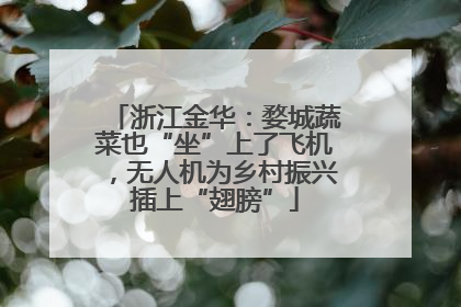 浙江金华：婺城蔬菜也“坐”上了飞机，无人机为乡村振兴插上“翅膀”