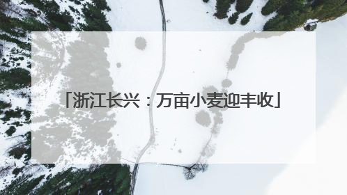 浙江长兴：万亩小麦迎丰收