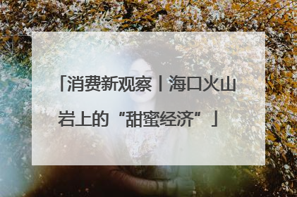消费新观察丨海口火山岩上的“甜蜜经济”