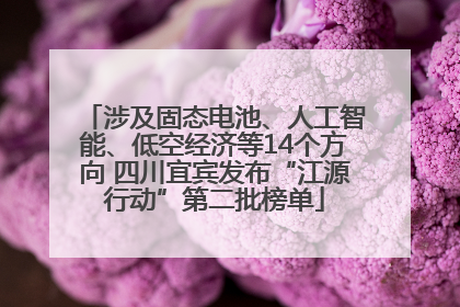 涉及固态电池、人工智能、低空经济等14个方向 四川宜宾发布“江源行动”第二批榜单