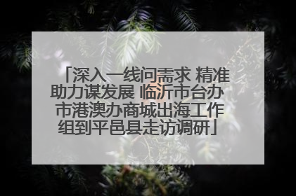 深入一线问需求 精准助力谋发展 临沂市台办 市港澳办商城出海工作组到平邑县走访调研