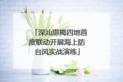 深汕惠揭四地首度联动开展海上防台风实战演练