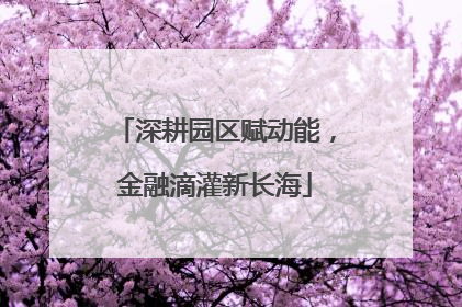 深耕园区赋动能，金融滴灌新长海