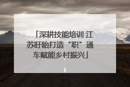深耕技能培训 江苏盱眙打造“职”通车赋能乡村振兴