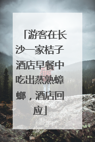 游客在长沙一家桔子酒店早餐中吃出蒸熟蟑螂，酒店回应