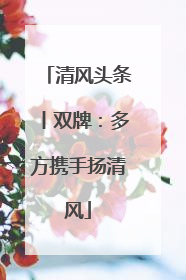 清风头条丨双牌：多方携手扬清风