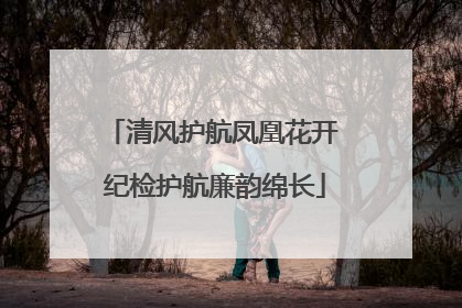 清风护航凤凰花开 纪检护航廉韵绵长