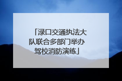 渌口交通执法大队联合多部门举办驾校消防演练