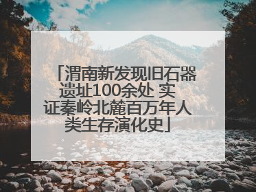 渭南新发现旧石器遗址100余处 实证秦岭北麓百万年人类生存演化史
