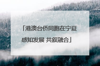 港澳台侨同胞在宁夏感知发展 共叙融合