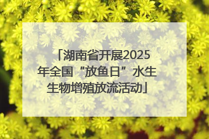湖南省开展2025年全国“放鱼日”水生生物增殖放流活动