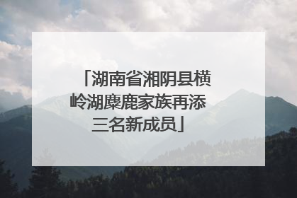 湖南省湘阴县横岭湖麋鹿家族再添三名新成员