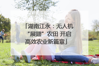 湖南江永：无人机“展翅”农田 开启高效农业新篇章
