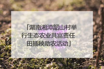 湖南湘潭韶山村举行生态农业共富责任田插秧助农活动