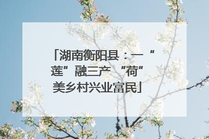 湖南衡阳县：一“莲”融三产 “荷”美乡村兴业富民