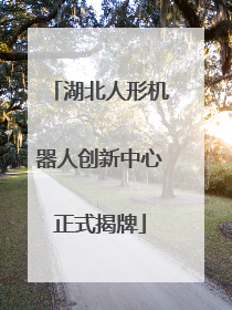 湖北人形机器人创新中心正式揭牌