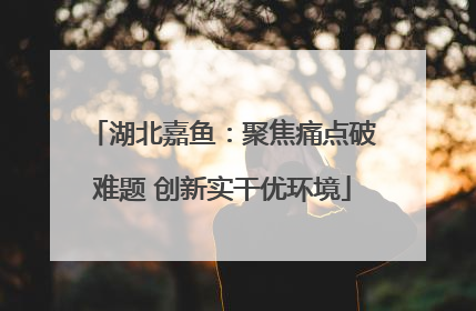 湖北嘉鱼：聚焦痛点破难题 创新实干优环境