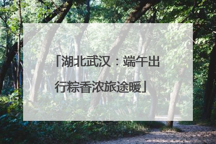 湖北武汉：端午出行粽香浓旅途暖