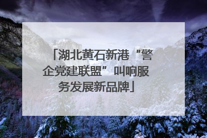 湖北黄石新港“警企党建联盟”叫响服务发展新品牌