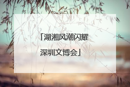 湖湘风潮闪耀深圳文博会