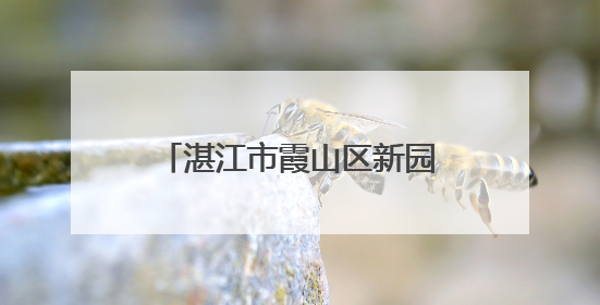 湛江市霞山区新园街道创新推出“出摊办公”移动服务台