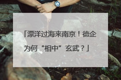 漂洋过海来南京！德企为何“相中”玄武？