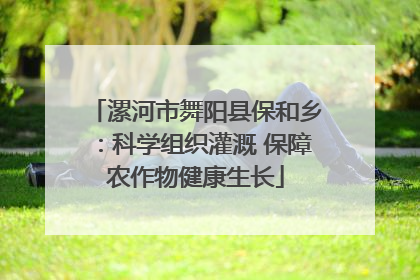 漯河市舞阳县保和乡：科学组织灌溉 保障农作物健康生长