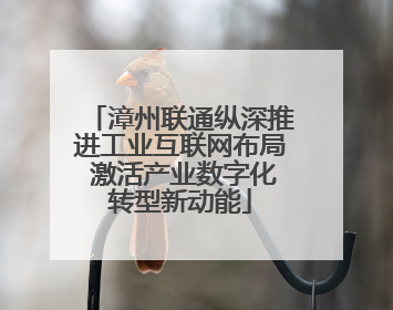 漳州联通纵深推进工业互联网布局 激活产业数字化转型新动能