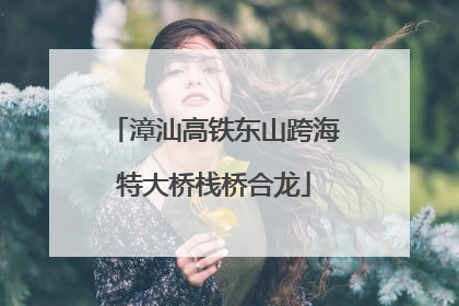 漳汕高铁东山跨海特大桥栈桥合龙