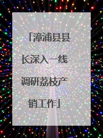漳浦县县长深入一线调研荔枝产销工作