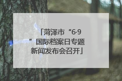 菏泽市“6·9”国际档案日专题新闻发布会召开