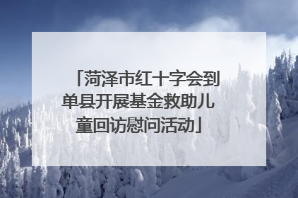 菏泽市红十字会到单县开展基金救助儿童回访慰问活动