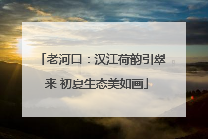 老河口：汉江荷韵引翠来 初夏生态美如画