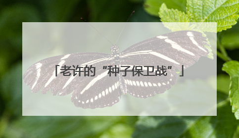 老许的“种子保卫战”