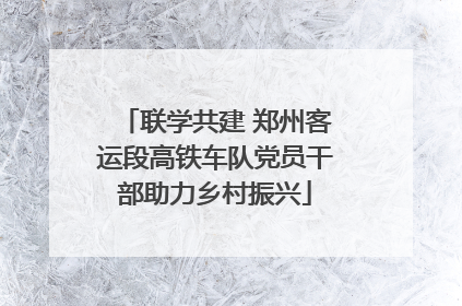 联学共建 郑州客运段高铁车队党员干部助力乡村振兴