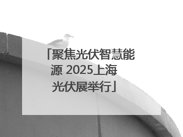 聚焦光伏智慧能源 2025上海光伏展举行