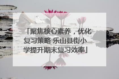 聚焦核心素养，优化复习策略 乐山县街小学提升期末复习效率