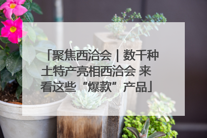 聚焦西洽会｜数千种土特产亮相西洽会 来看这些“爆款”产品