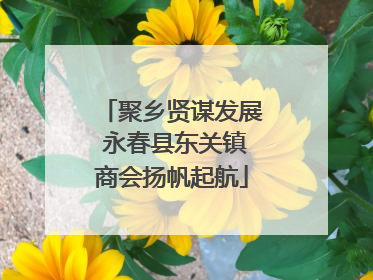 聚乡贤谋发展 永春县东关镇商会扬帆起航