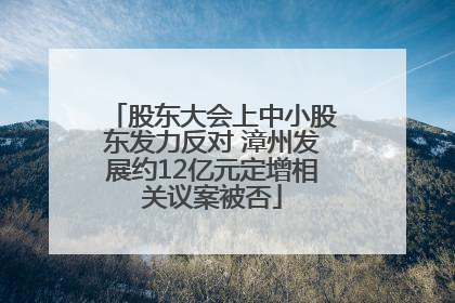 股东大会上中小股东发力反对 漳州发展约12亿元定增相关议案被否