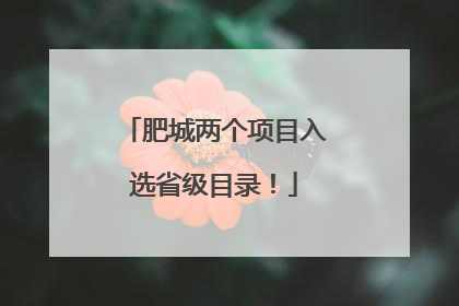 肥城两个项目入选省级目录！
