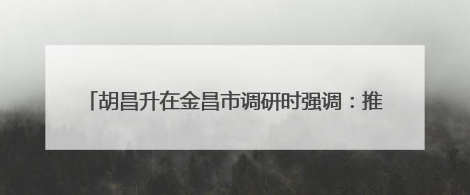 胡昌升在金昌市调研时强调：推进创新链与产业链深度融合 为高质量发展塑造新动能新优势