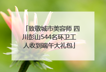 致敬城市美容师 四川彭山544名环卫工人收到端午大礼包