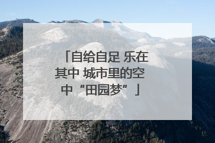 自给自足 乐在其中 城市里的空中“田园梦”