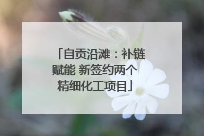 自贡沿滩：补链赋能 新签约两个精细化工项目