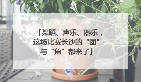 舞蹈、声乐、器乐，这场比赛长沙的“团”与“角”都来了
