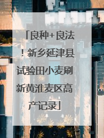 良种+良法！新乡延津县试验田小麦刷新黄淮麦区高产记录