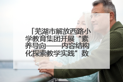 芜湖市解放西路小学教育集团开展“素养导向——内容结构化探索教学实践”数学专题研讨活动